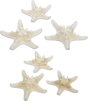 Othmar decorations Decoratie zeesterren mix - 40x stuks - 5-10 cm - Hobbydecoratieobject Wit