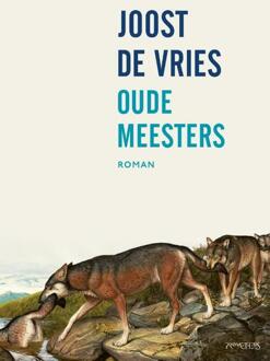 Oude meesters - Boek Joost de Vries (9044634305)