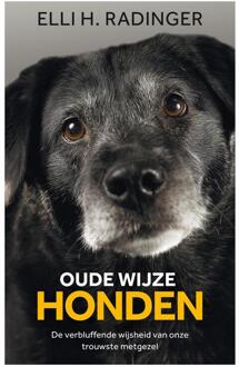 Oude Wijze Honden - (ISBN:9789400511446)