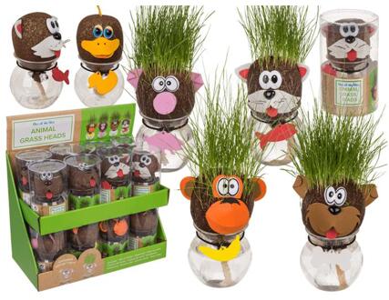 Out of the Blue Dieren graskop in glazen vaasje 12,5cm multi