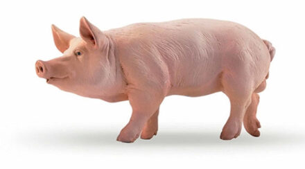 Out of the Blue Plastic speelgoed figuur varken 11 cm Multi