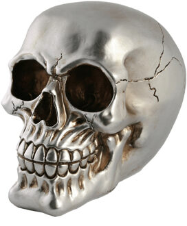 Out of the Blue Spaarpot van doodshoofd/Skull - polyresin - 15 cm - Zilver Dark - Volwassenen - Spaarpotten Zilverkleurig