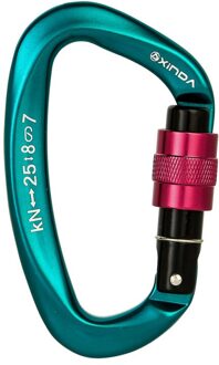 Outdoor Klimmen Main Lock Klimmen Gesp Quick Opknoping D Type Belangrijkste Lock Outdoor Klimmen Apparatuur Veiligheid Lock 2500Kg 06