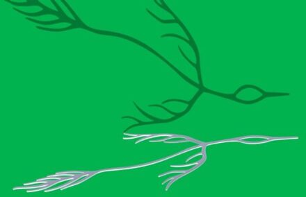 Outside Of Your Lifetime - Astrid Sonne