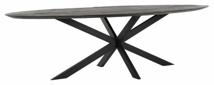 Ovale Eettafel 'Shape' Teakhout, 280 x 120cm, kleur Zwart - 280 x 120 cm