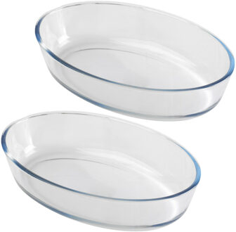 Ovenschaal van borosilicaat glas - 2x - ovaal - 0.75 Liter - 22 x 14 x 5 cm