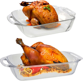 Ovenschaal van borosilicaat glas - set van 2 - rechthoek - 2.5 en 3.5 liter - serveerschaal