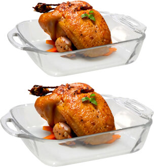 Ovenschaal van borosilicaat glas - set van 2 - rechthoek - 2.5 en 3.8 liter - serveerschaal