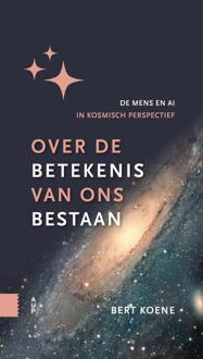 Over de betekenis van ons bestaan -  Bert Koene (ISBN: 9789048566303)