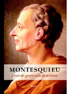 Over De Geest Van De Wetten - (ISBN:9789085066699)