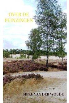 Over de peinzingen