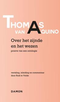 Over het zijnde en het wezen - Boek Thomas (9463401091)