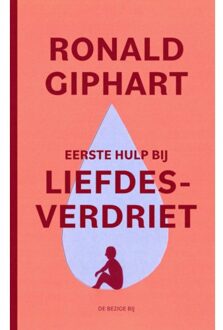 Over Liefdesverdriet - Ronald Giphart