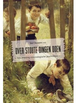 Over stoute dingen doen - Boek Stef Decoene (9462925712)