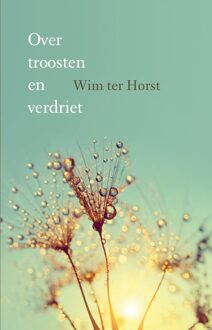 Over troosten en verdriet - eBook Wim ter Horst (9043527882)