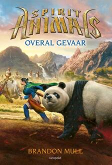 Overal gevaar - Boek Brandon Mull (9025868010)