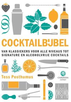 Overamstel Uitgevers Cocktailbijbel - Tess Posthumus