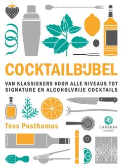 Overamstel Uitgevers Cocktailbijbel - Tess Posthumus