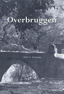Overbruggen - Boek Siebe A. Sonnema (9089548424)
