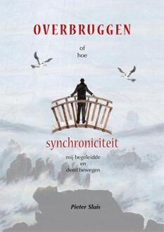 Overbruggen of hoe synchroniciteit mij heeft begeleid en doen bewegen -  Pieter Sluis (ISBN: 9789493288546)