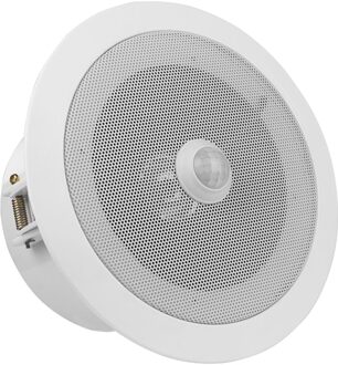 Overhead PIR Motion Sensor Geactiveerd Audiospeler Plafond Luidspreker Ingebouwde 10 Watt Versterker Grote Geluid