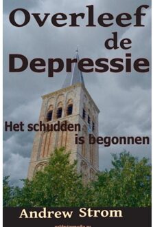 Overleef de depressie - Boek Andrew Strom (9461933584)
