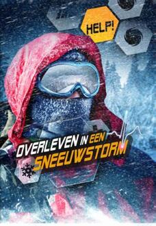 Overleven in een sneeuwstorm - Boek Chris Bowman (946341116X)