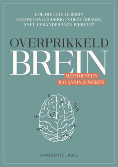 Overprikkeld Brein - Charlotte Labee - ebook