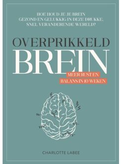 Overprikkeld Brein - Charlotte Labee