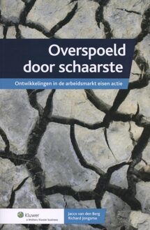 Overspoeld door schaarste - eBook Vakmedianet (9013108806)