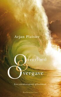 Overvloed en overgave - eBook Arjan Plaisier (9023929160)