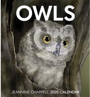 Owls - Chappell, Jeannine