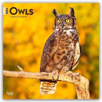 Owls - Eulen 2026 - 16-Monatskalender - Browntrout Wandkalender - Browntrout Publishers