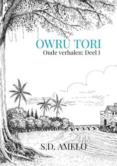 Owru Tori -  S.D. Amelo (ISBN: 9789464483307)