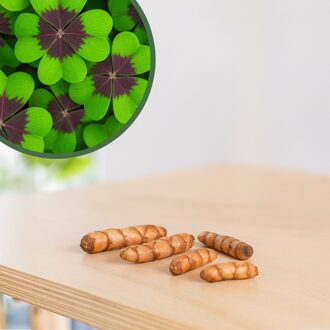 Oxalis Deppei 'Iron Cross' knollen (5 stuks)