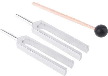 Paar Stemvorken (440Hz) In Hout Bases Voor Natuurkunde Experiment Met Mallet