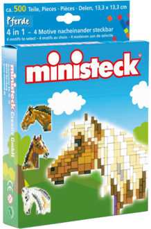 Paard 4 In 1 500 Dlg