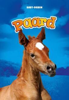 Paard - Baby-dieren