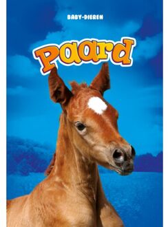 Paard - Baby-dieren