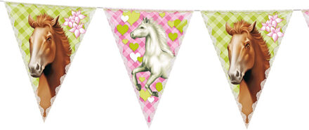 Paarden feest vlaggenlijn 6 meter - Kinderfeest versiering slinger met vlaggetjes Multikleur