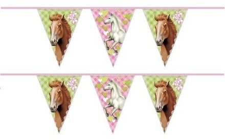 Paarden vlaggenlijn - 2x - 6 meter - plastic - themafeest paarden - versiering - slinger