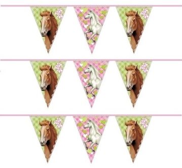 Paarden vlaggenlijn - 3x - 6 meter - plastic - themafeest paarden - versiering - slinger