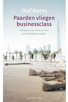 Paarden Vliegen Businessclass