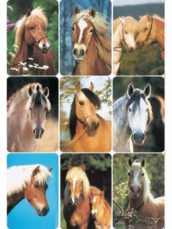 Paardenhoofden stickers 3 vellen - Stickers Multikleur