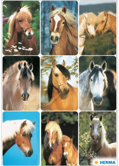 Paardenhoofden stickers - 3x vellen - dieren - boerderij - kinderen - agenda