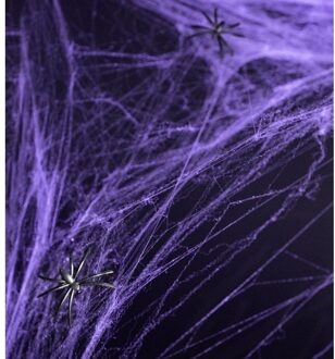 Paarse spinnenweb decoratie met 2 spinnen