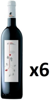 PACK 6 bottles red wine Moma 2015, D.O Valencia, free shipping from Spain, red wine