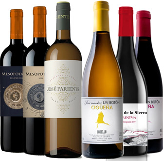 Pack Wine tasting from Spain, 6 different Wines Tempranillo, Verdejo, Godello, Mencia, Rufete, Red wine & white Wine