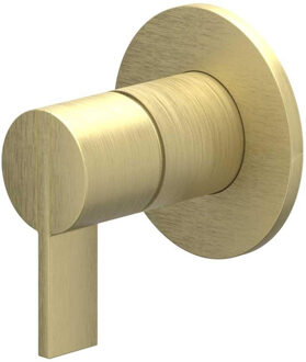 Pact Afbouwdeel - voor inbouw douchemengkraan - eenhendel - ronde rozet - Geborsteld mat goud PVD 6202054 Goud geborsteld