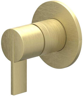 Pact Afbouwdeel - voor inbouw douchemengkraan - eenhendel - ronde rozet - Geborsteld mat goud PVD 6202054 Goud geborsteld